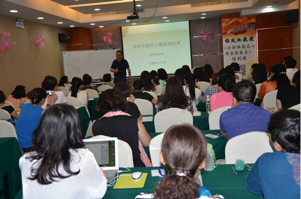 楊鳳池教授《分析體驗(yàn)式心理咨詢技術(shù)》培訓(xùn)班圓滿成功